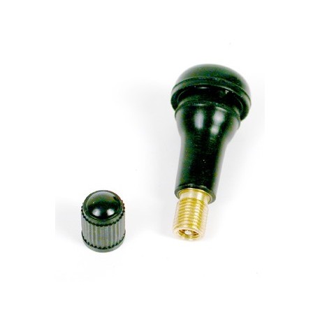VALVE COMPLETE TR413                    