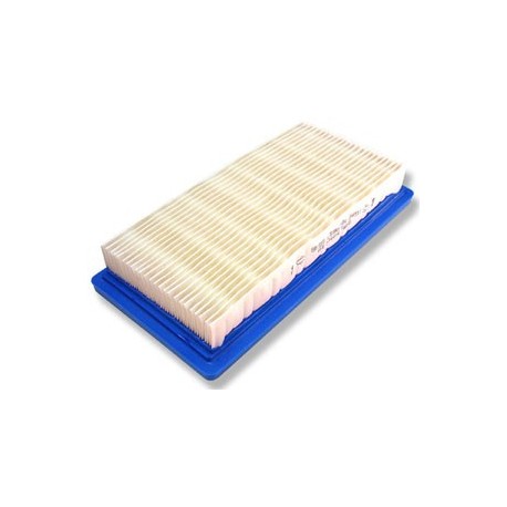 FILTRE AIR  (4145)                    