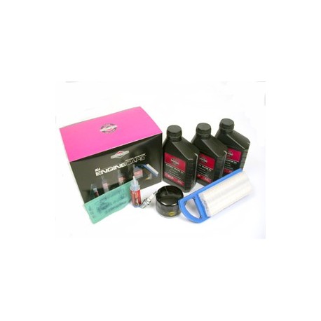 TUNE UP KIT MODEL 31 VERT (6)