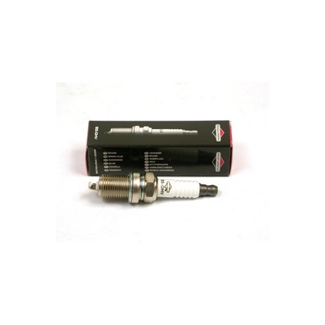 BBUGIE BRIGGS OHV                       