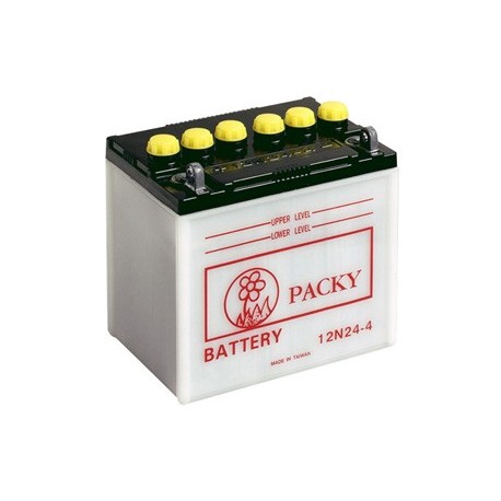 BATTERIE 12N24 4                        