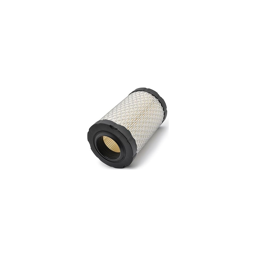 FILTRE AIR  (4243)                            
