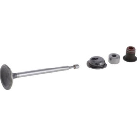 VALVE-INTAKE                            