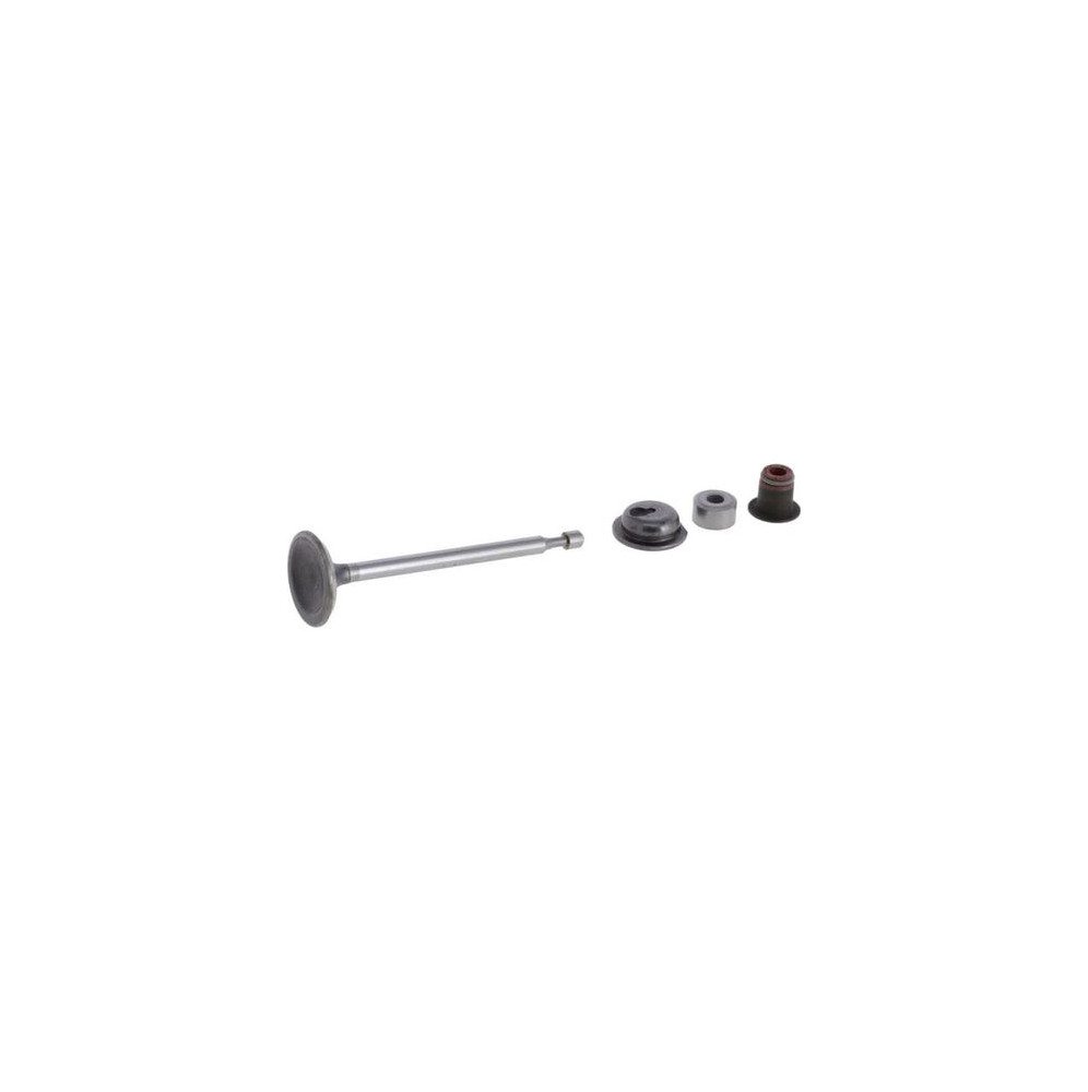 VALVE-INTAKE                            