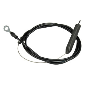 CABLE                                   