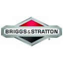 Briggs & Stratton